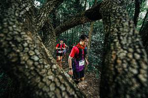 BIB: 
                            <button type="button" onclick="openModal(25392298)" class="btn btn-primary btn-sm float-right btn-popup" data-toggle="modal" data-target=".modal-high-quality">
                        <i class="fas fa-shopping-cart"></i> Add to Cart
                    </button>
                                            <button type="button" onclick="isThisMe(25392298, true)" class="btn btn-success btn-sm float-right btn-popup btn-isme hidden" data-toggle="tooltip" data-placement="bottom" title="นี่คือรูปของคุณใช่ไหม คลิกที่นี่เพื่อเอาเข้าอัลบั้ม">
                        <i class="fas fa-plus"></i> Add to album
                    </button>
                    <button type="button" onclick="isThisMe(25392298, false)" class="btn btn-warning btn-sm float-right btn-popup btn-isnotme hidden">
                        <i class="fas fa-ban"></i> Remove from album
                    </button>